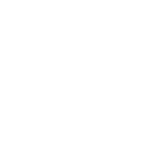 Lithium Battery